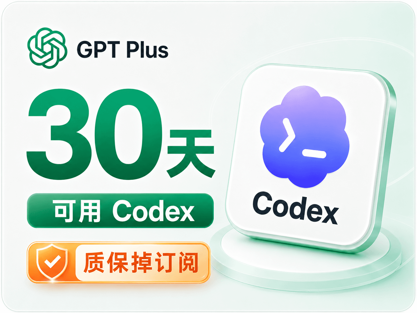 GPT Plus 官充直充30天（质保掉会员）