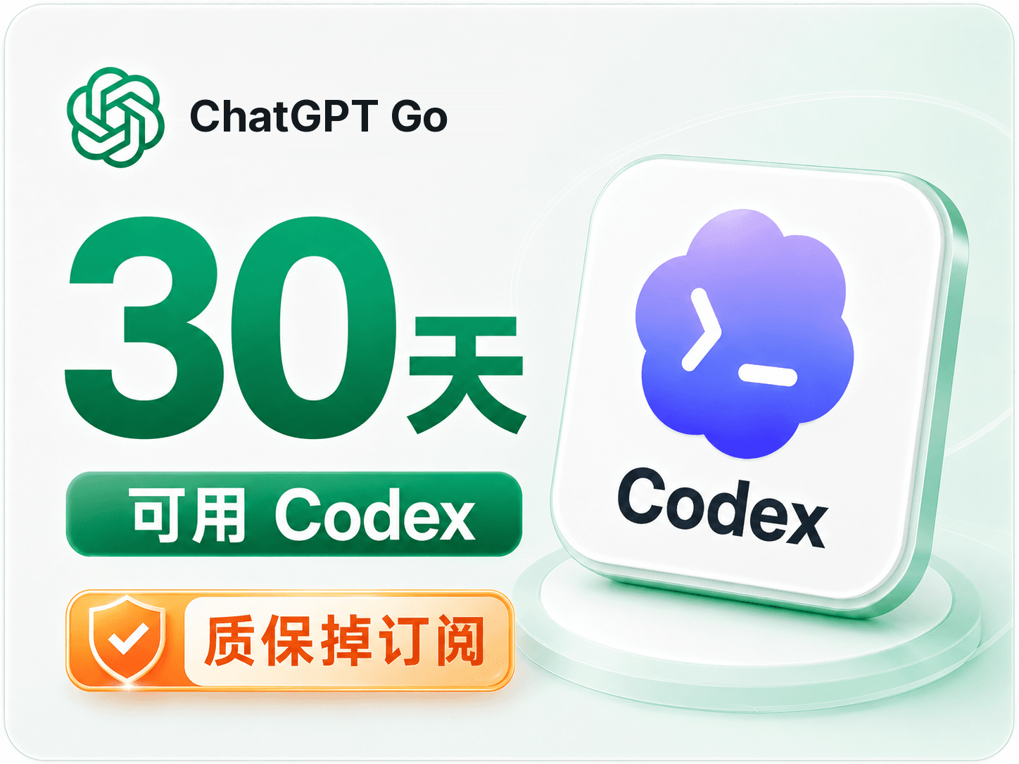 ChatGPT Go 正规卡充 30 天（质保掉订阅）